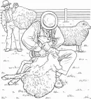 Op de boerderij kleurplaat 5